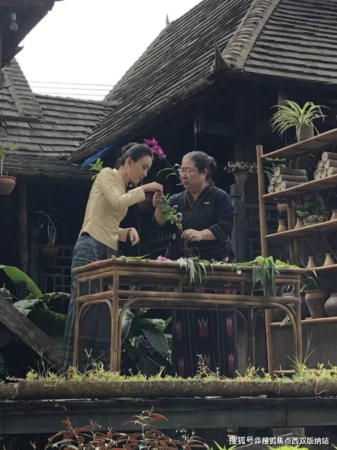 拯救穆尔小马