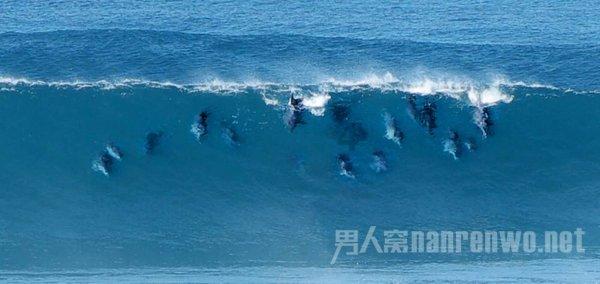 中国能建山西子公司严重资不抵债 被裁定破产